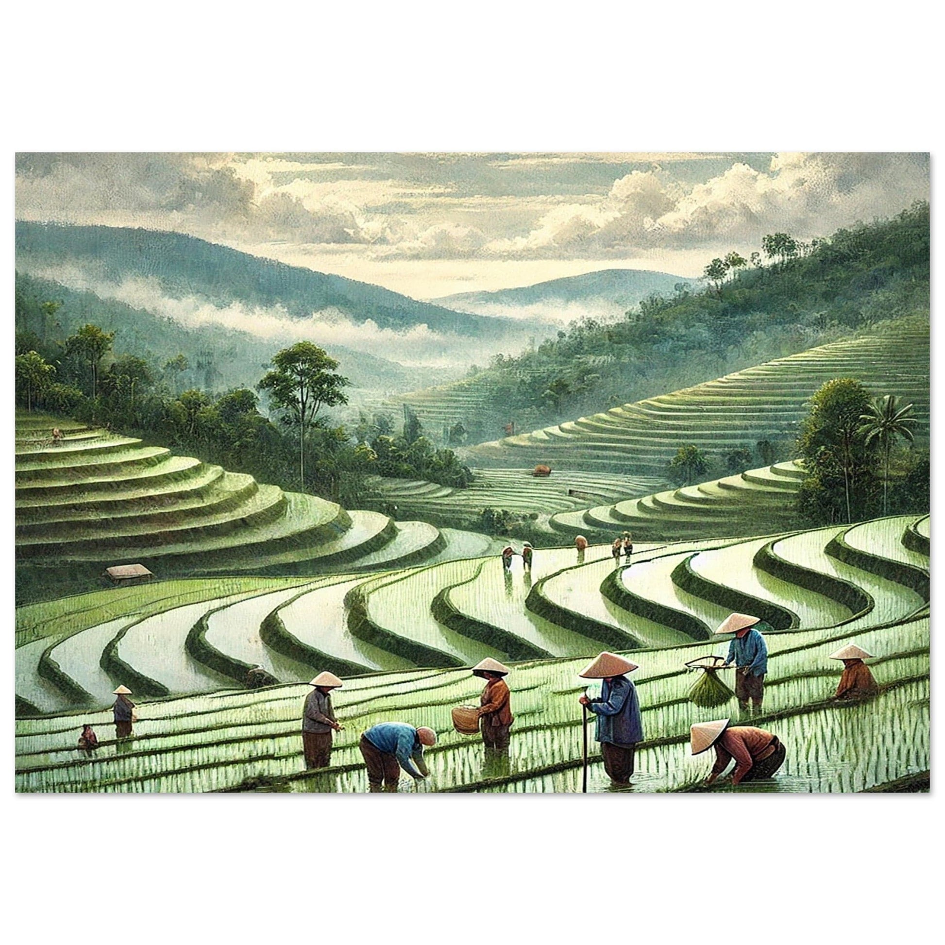 My Store Print Material 70x100 cm / 28x40″ Paddy Rice Farming One Aluminum Print