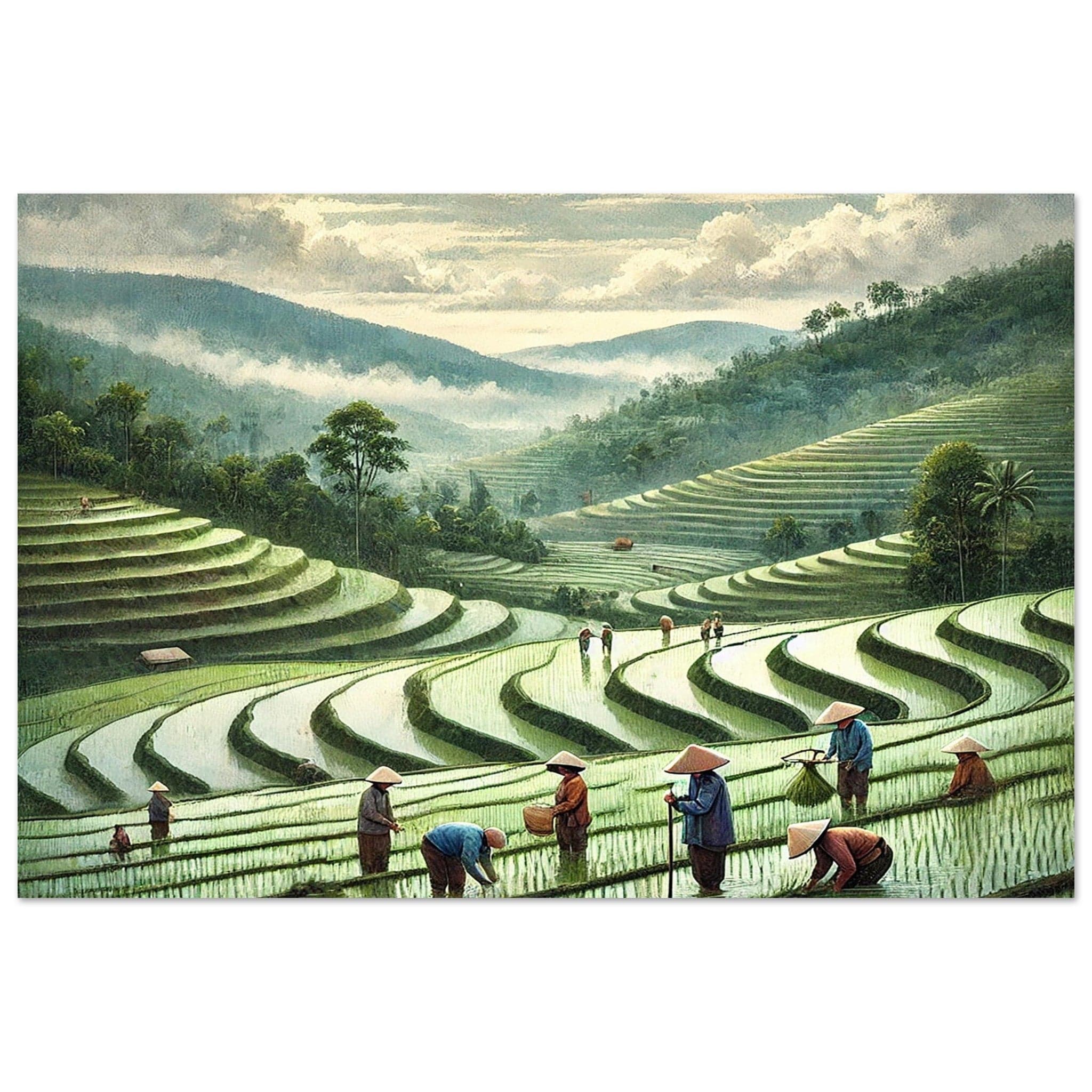 My Store Print Material 40x60 cm / 16x24″ Paddy Rice Farming One Aluminum Print