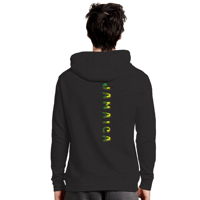 My Store Print Material Celebrate The Culture. Premium Unisex Pullover Hoodie | Laneseven LS13001