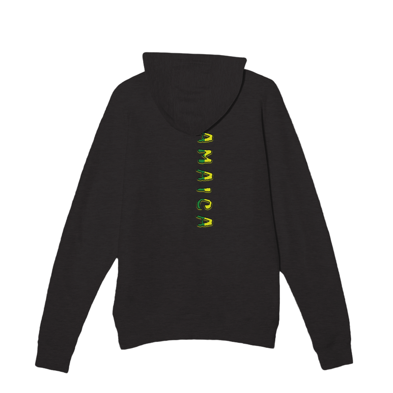My Store Print Material Celebrate The Culture. Premium Unisex Pullover Hoodie | Laneseven LS13001