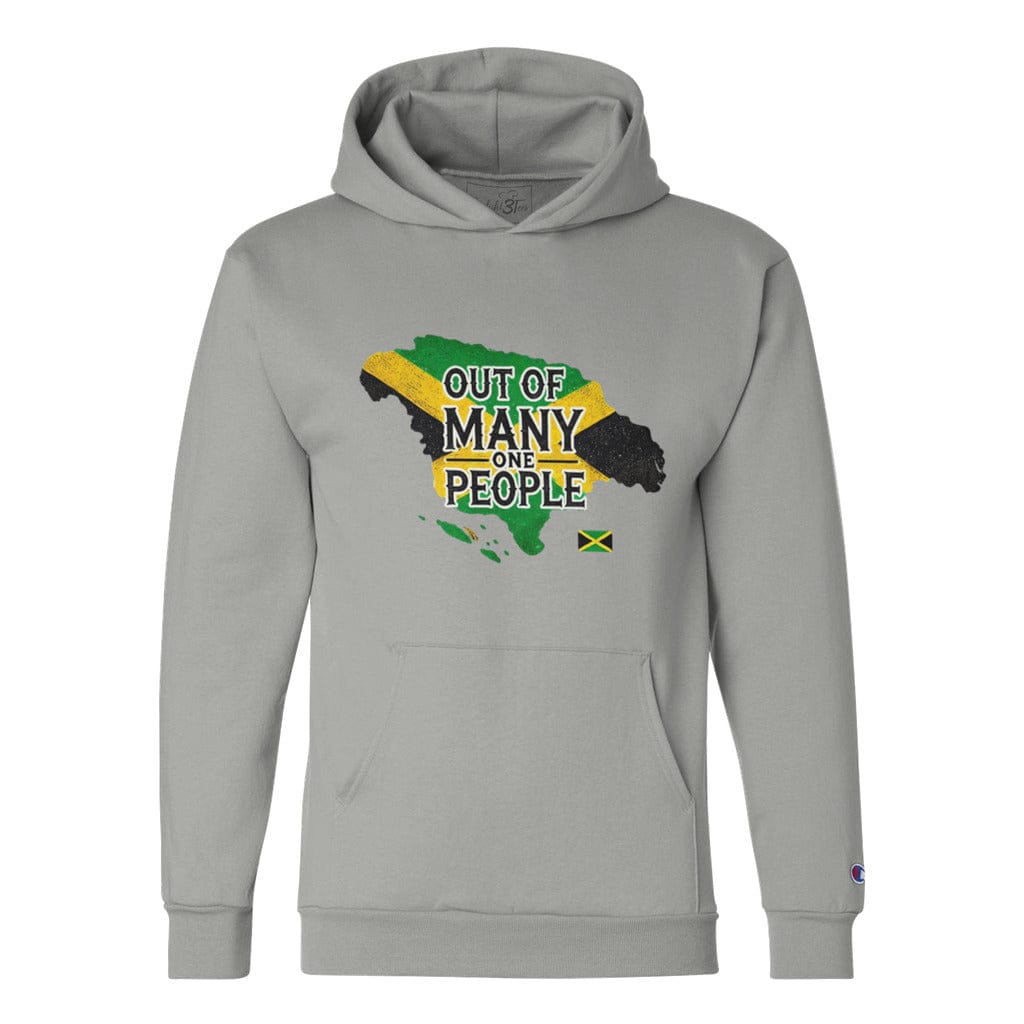 Awkward Styles S / Light Steel Out Of Many One People Unisex Champion Hoodie