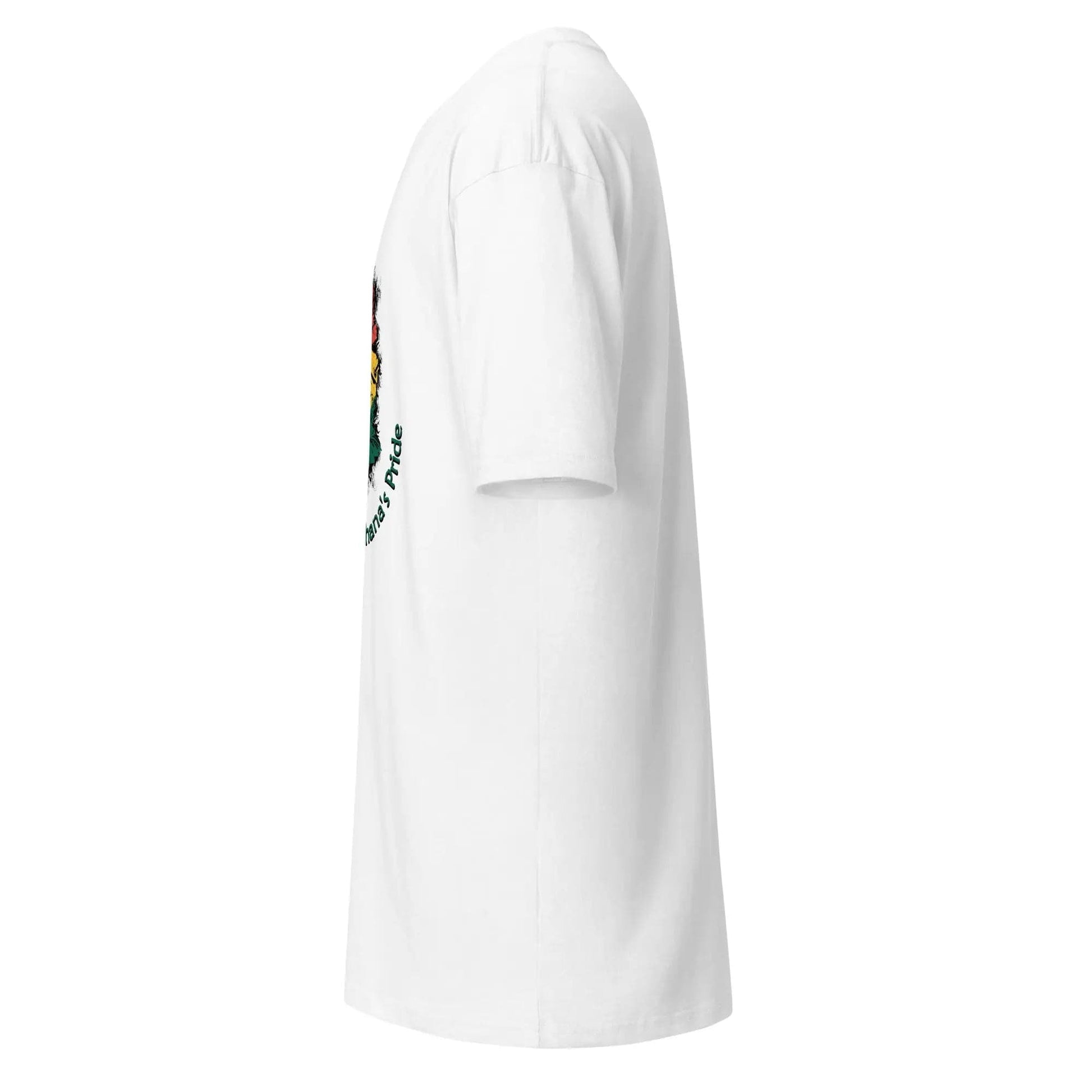STYLISH3TEES.COM Roots Of Ghana's Pride Men’s premium heavyweight tee