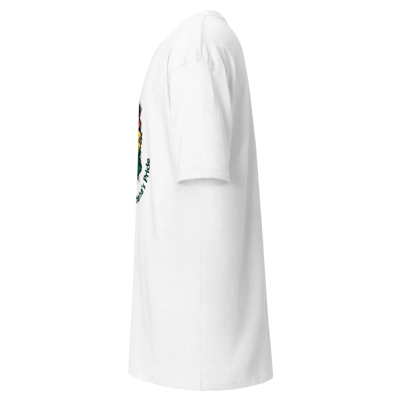 STYLISH3TEES.COM Roots Of Ghana's Pride Men’s premium heavyweight tee