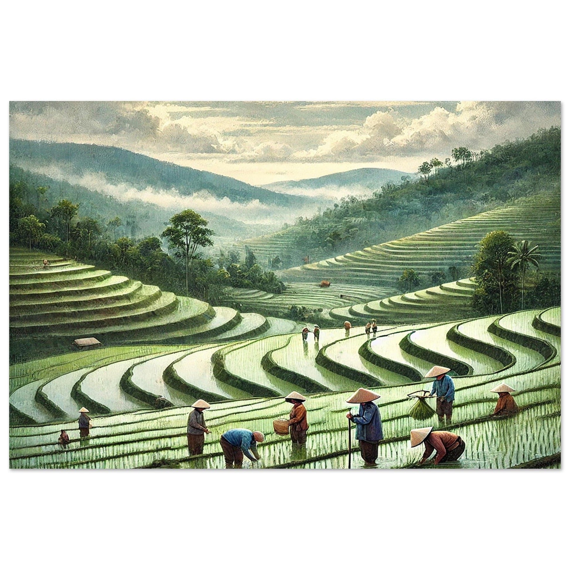 My Store Print Material 60x90 cm / 24x36″ Paddy Rice Farming One Aluminum Print