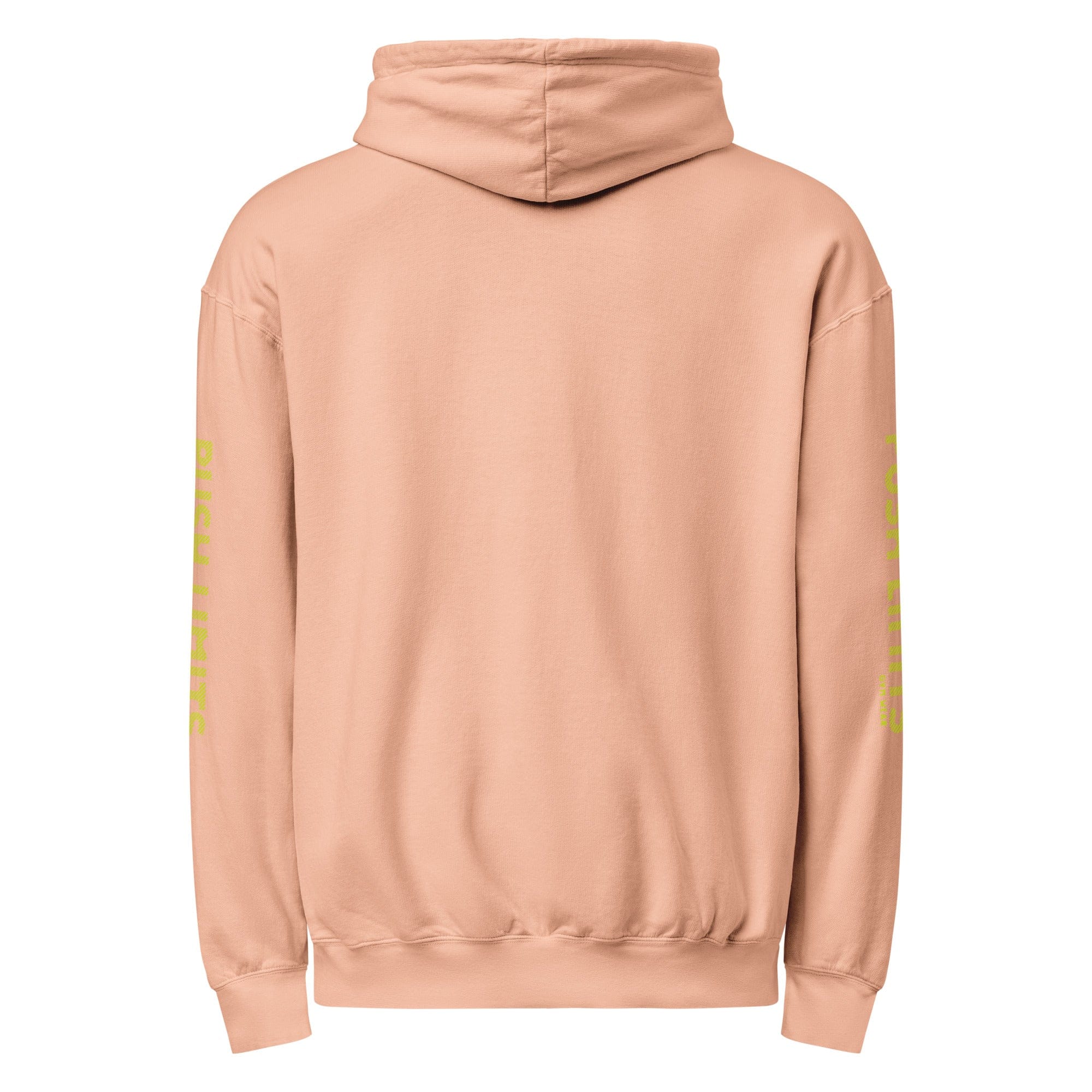 Stylish3Tees.com Push Limits Embrace Progress Unisex garment-dyed lightweight hoodie