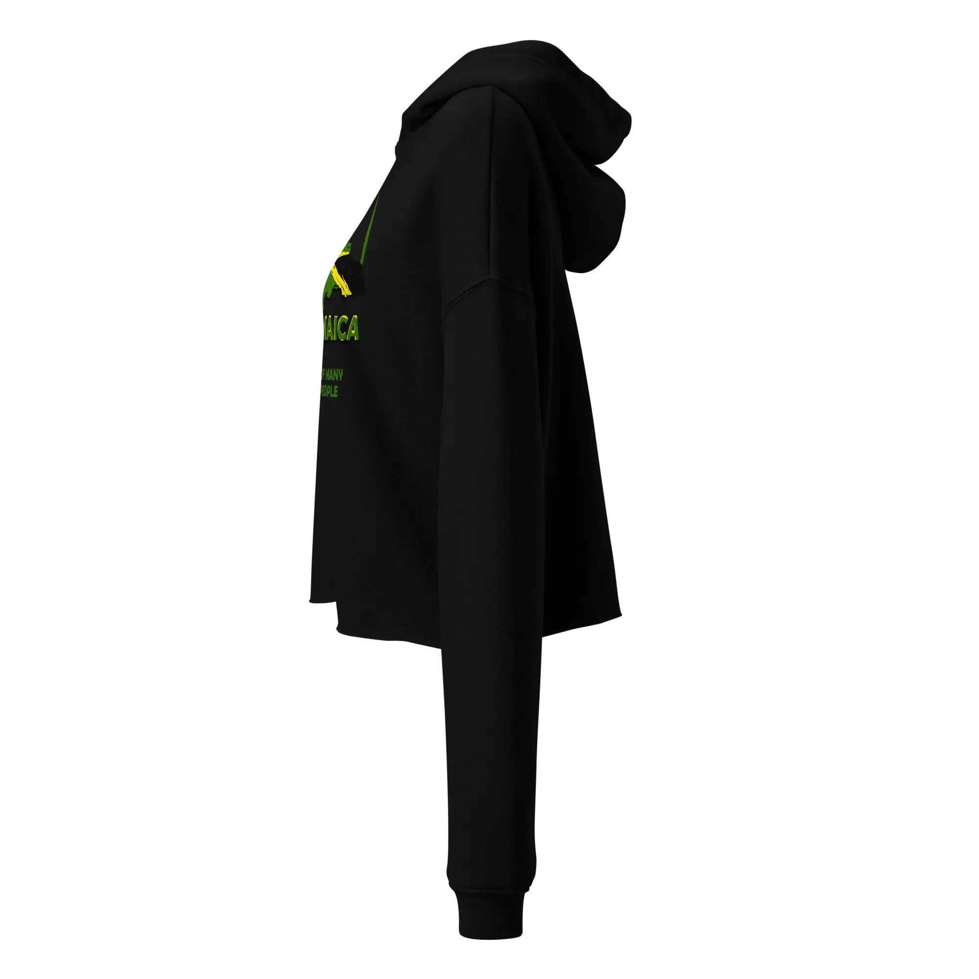 Ladies Crop Hoodie