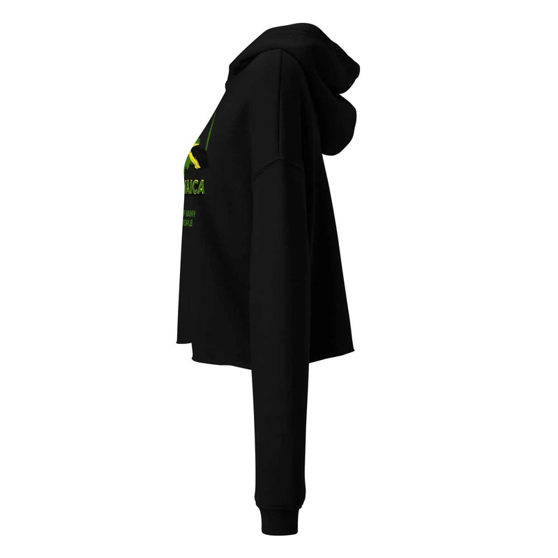 STYLISH3TEES.COM Out Of Many One People Ladies Crop Hoodie