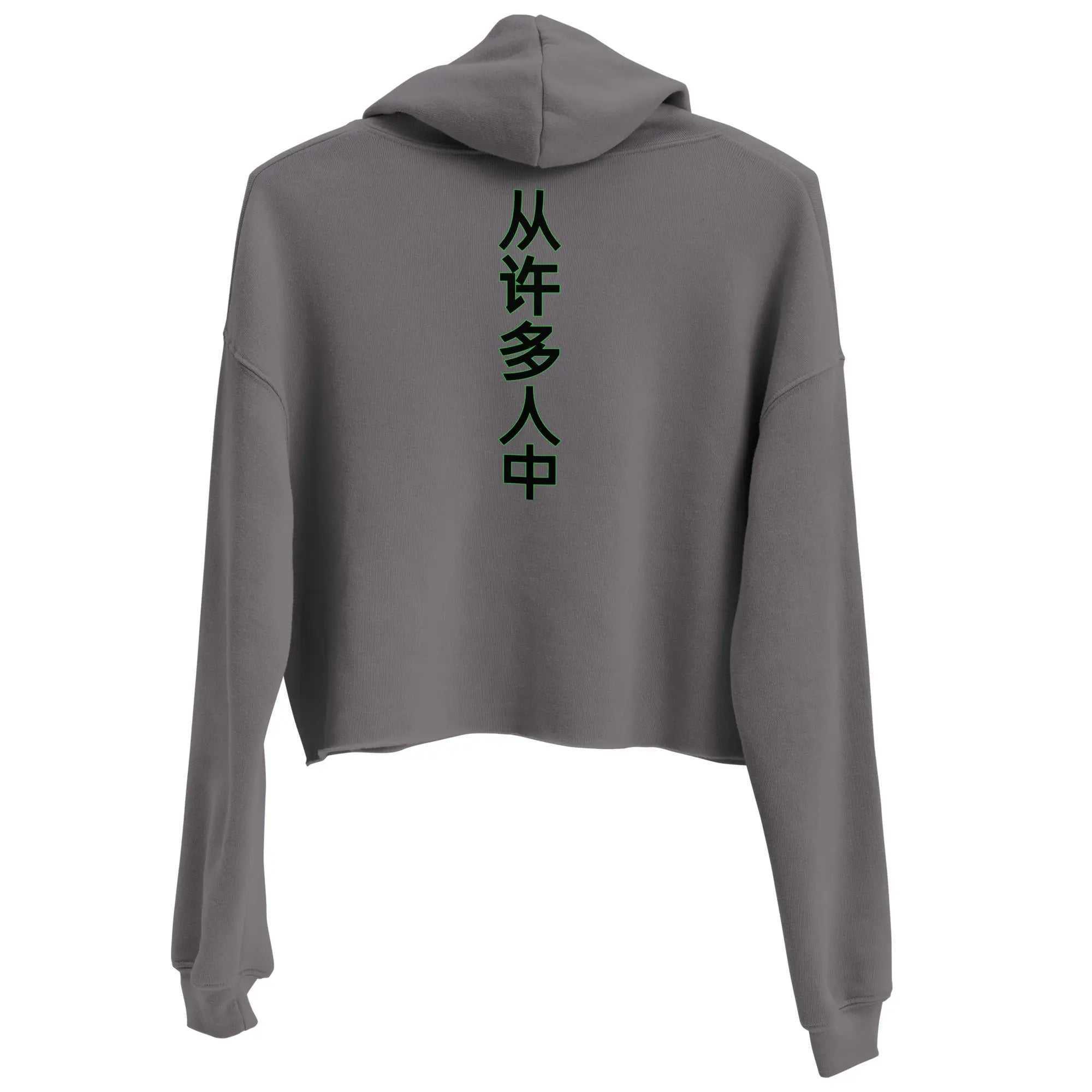 Back view of gray cropped hoodie with vertical Chinese characters "Out Of Many One People" printed on the back