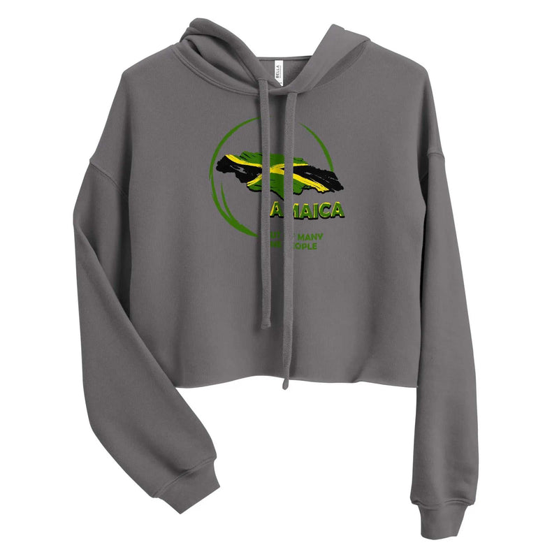 STYLISH3TEES.COM Out Of Many One People Ladies Crop Hoodie